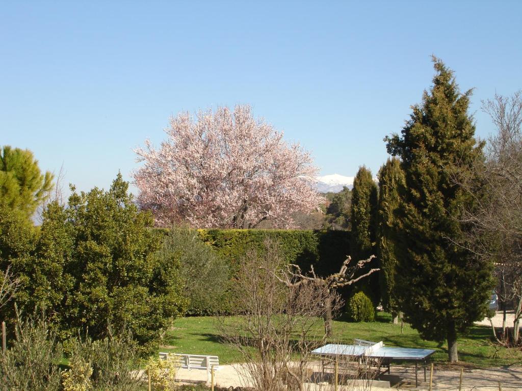 Domaine De La Grange Neuve Hotel La Roque-sur-Pernes Екстериор снимка